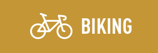Biking icon